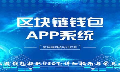 如何从比特钱包提取USDT:详细指南与常见问题解答