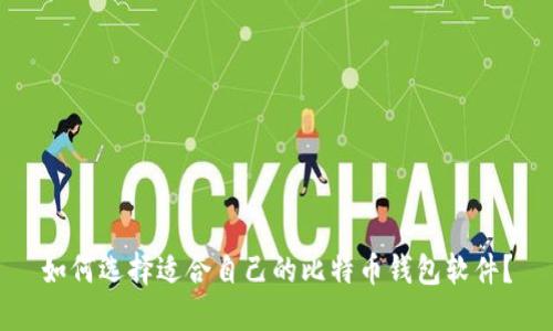 如何选择适合自己的比特币钱包软件？