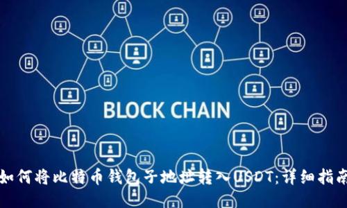 如何将比特币钱包子地址转入USDT：详细指南