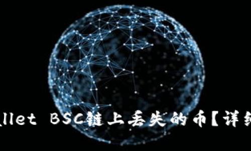 如何找回在TPWallet BSC链上丢失的币？详细指南与实用技巧