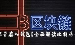 半枚比特币能否存入钱包？全面解读比特币钱包