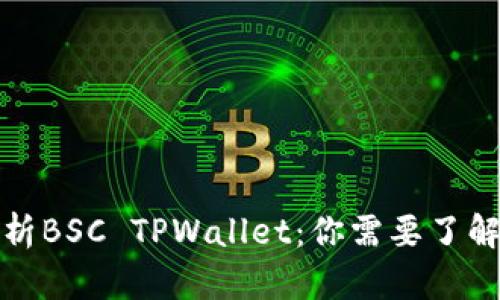 全面解析BSC TPWallet：你需要了解的一切