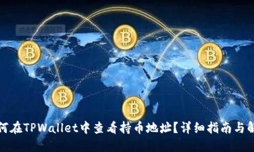 如何在TPWallet中查看持币地址？详细指南与解答