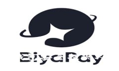 优秀 如何通过USDT钱包安全提现人民币：完整指南